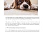 write SEO optimized blog posts that rank and convert
